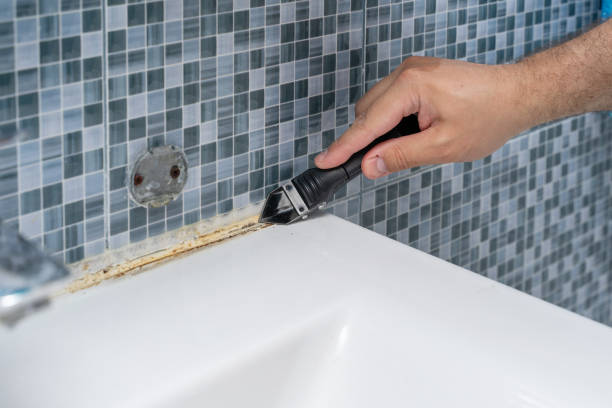 Best Mold Testing  in Clarcona, FL