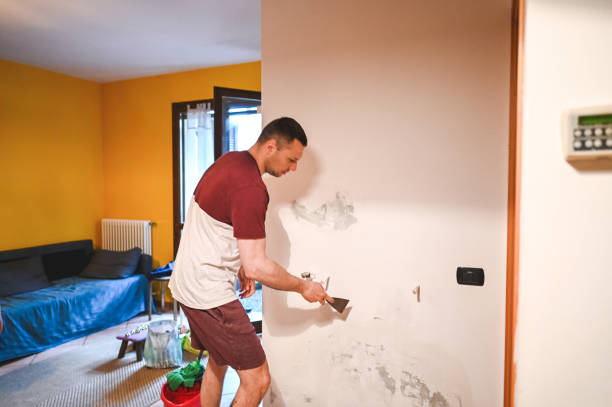 Best Mold Remediation  in Clarcona, FL