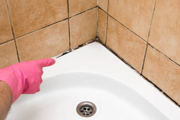 Best Crawl Space Mold Removal  in Clarcona, FL